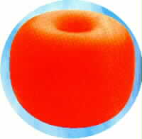 9 LT FLOAT WITH THROUGH HOLE