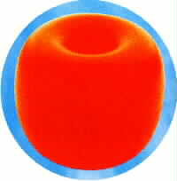 2 LT FLOAT WITH THROUGH HOLE
