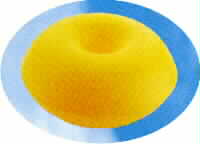 FLOAT FOR NETS