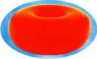 FLOAT FOR NETS